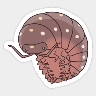 Montenegro Clown Isopod Or Pillbug - Armadillidium Klugii Sticker